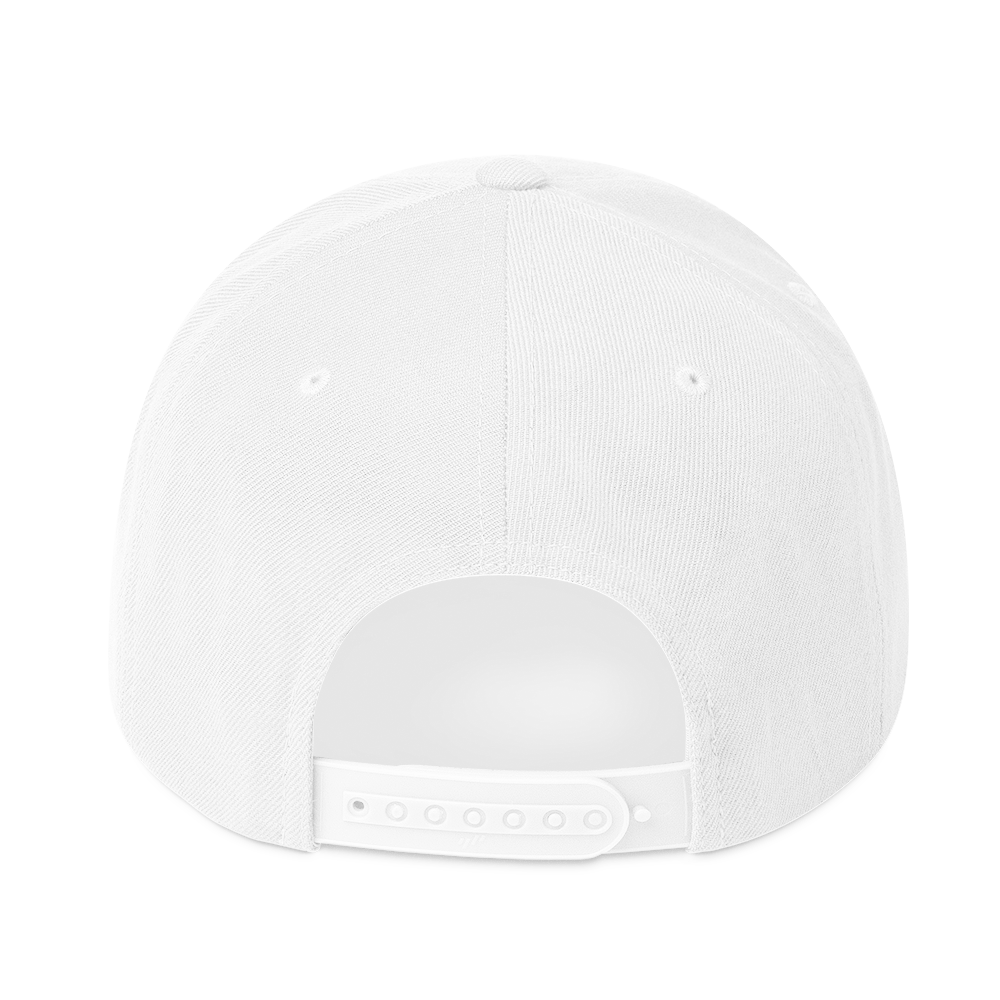 Structured Embroidered Flat-Brim Snapback cap